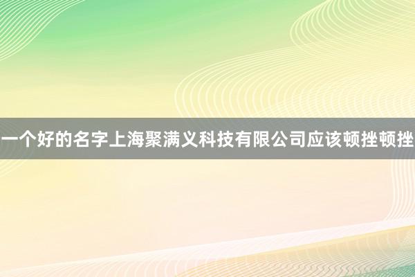 一个好的名字上海聚满义科技有限公司应该顿挫顿挫