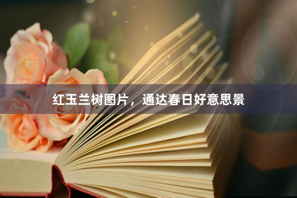 红玉兰树图片，通达春日好意思景