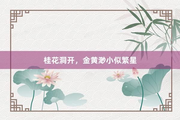 桂花洞开，金黄渺小似繁星