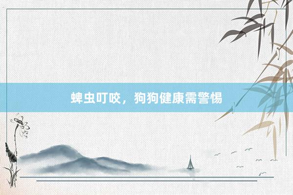 蜱虫叮咬,狗狗健康需警惕
