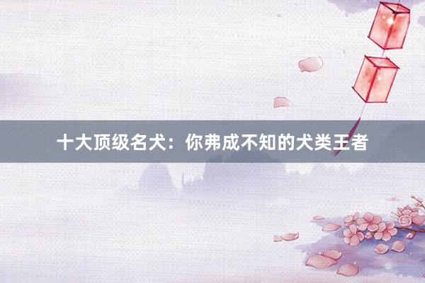 十大顶级名犬:你弗成不知的犬类王者